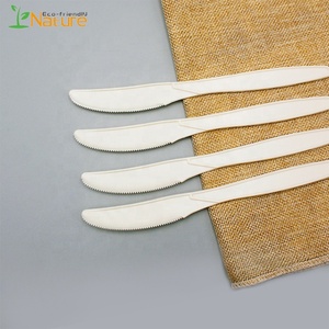 Bioplastique Écologique 8 Pouces Couverts D'amidon De Maïs Couteau pour le Gâteau - Product Image 5