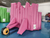 Grandes Structures Gonflables Thème Princesse pour les Fêtes - Mur Photo Gonflable pour les Fêtes