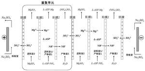 Aparato experimental de electrodiálisis, electrodiálisis personalizada para extracción y purificación de litio - Product Image 5