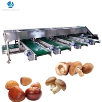 Boerderijgebruik RVS sorteermachine kastanje sorteermachine gatband type champignon sorteermachine
