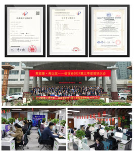 ביו להרוויח פרימיום להאכיל ויטמינים תוסף לבעלי חיים עלייה במשקל ויטמין עלייה במשקל ויטמין עבור עופות עופות ברווז - Product Image 6