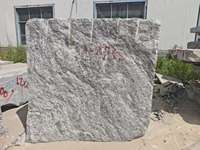 TY Shandong Bloc de granit gris moderne taillé à la machine, solution de projet écologique globale, support technique en ligne, Villa Park