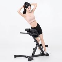 Support de fitness multifonctionnel, banc d'hyperextension réglable, machine d'extension du dos à 45 degrés, chaise romaine-pointes de chèvre
