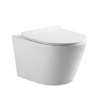 Vente en gros usine WC suspendu en céramique monobloc moderne européen avec siphon à eau usée et réservoir encastré