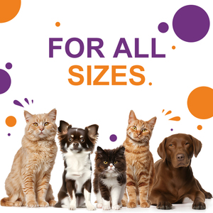 Alivio para Alergias en Mascotas, Suplementos Dietéticos Líquidos, <span class=keywords><strong>Gotas</strong></span> Antibióticas para Ojos y Oídos, para la Tos del Perrero y las Infecciones de Heridas en la Piel del Perro - Product Image 3