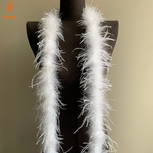 Boa en Plumes d'Autruche Teintes Écologiques 1 Plis, Non Toxique, pour la Mode Durable et les Projets Artisanaux - Product Image 6