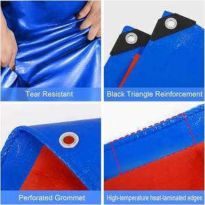 Bâche en PE personnalisée à chaud pour usage industriel, avec matériau durable <span class=keywords><strong>de</strong></span> haute qualité, protection UV disponible, prix abordable - Product Image 2