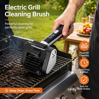 Brosse de nettoyage électrique rotative pour barbecue, professionnelle, sans fil, rechargeable, brosse de nettoyage électrique rotative pour barbecue