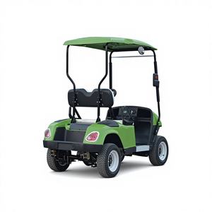 Aanpasbare kleur 2-persoons <span class=keywords><strong>mini</strong></span>-buggy, stille elektrische golfkar, kleine draaicirkel voor recreatiedoordrukte gebieden - Product Image 3