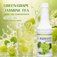 Concentré de jus de thé liquide, saveur vive et rafraîchissante, fabriqué avec du vrai jus de fruits, thé de qualité supérieure pour le bubble tea, vente en gros OEM