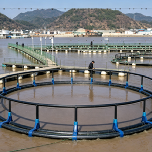 Équipement d'aquaculture : Cages flottantes pour l'élevage et l'éclosion des poissons à vendre, epuisette Pour Poisson, jaring Sangka Ikan - Product Image 2