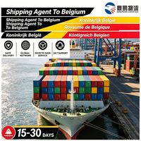 Agent maritime, services de transitaire vers les ports de Belgique (Anvers, Bruges), DDP, équipe de documentation expérimentée