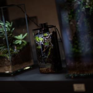 Aksesori akuarium desain seni penjualan laris dekorasi kantor Pot kaca botol lanskap mikro lampu akuarium akuarium - Product Image 5