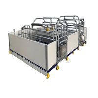 Porc Cage Caisse de mise bas pour la Truie