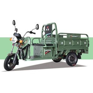 Tricycles électriques puissants de fabricant <span class=keywords><strong>professionnel</strong></span> en gros d'usine Vélo <span class=keywords><strong>cargo</strong></span> électrique à 3 roues - Product Image 3