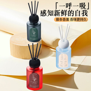 Carystar <b>Reed</b> <b>Diffuser</b> 120ml Long Lasting Scent Car Home Fragrance - Product Image 3
