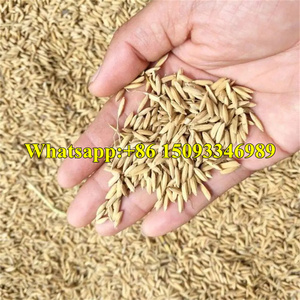 Batteuse <span class=keywords><strong>de</strong></span> <span class=keywords><strong>blé</strong></span> et <span class=keywords><strong>de</strong></span> riz à économie d'énergie/machine <span class=keywords><strong>de</strong></span> séparation <span class=keywords><strong>de</strong></span> graines <span class=keywords><strong>de</strong></span> <span class=keywords><strong>blé</strong></span> à bon <span class=keywords><strong>prix</strong></span>/batteuse <span class=keywords><strong>de</strong></span> riz à riz - Product Image 6