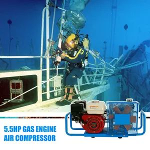 Compressor de ar para mergulho, 5.5hp 3.5cfm 200bar 42bar 300bar 310bar 330bar gás, scuba, compressor de ar para mergulho