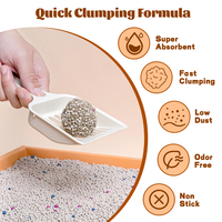 Litière pour chat en argile minérale naturelle, fraîcheur longue durée, litière pour chat en bentonite sans sable, qualité supérieure, facile à nettoyer et sans poussière