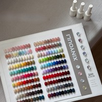Kit Complet de 210 Couleurs de Gel à Ongles avec Présentoir – Gels UV Solides, Effet Œil de Chat et Pailletés pour Nouveaux Salons de Manucure