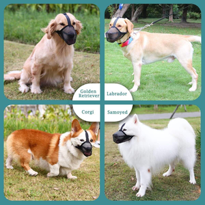 Küçük Corgi Teddy <span class=keywords><strong>Pet</strong></span> köpek ağız maskesi plastik anti-çiğnemek Anti-Bark Anti-Bite özel anti-yalamak - Product Image 3