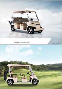 Vehículo Nuevo: Carro de Golf Eléctrico de Nuevo Diseño, Prototipo, Certificado CE, GCC, EEC para Carreteras No Públicas, para Socios y Distribuidores - Product Image 6