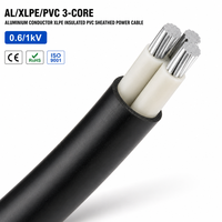 AL/XLPE/PVC 3-adriges Aluminium-Leistungskabel XLPE-Isolierung PVC-Mantel 4x50mm2 0,6 1kV Energieübertragung