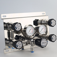 Système de Commutation Semi-Automatique à Double Cylindre en Acier Inoxydable 316L Électropoli UHP, Débit Standard N2 O2 Ar Propane