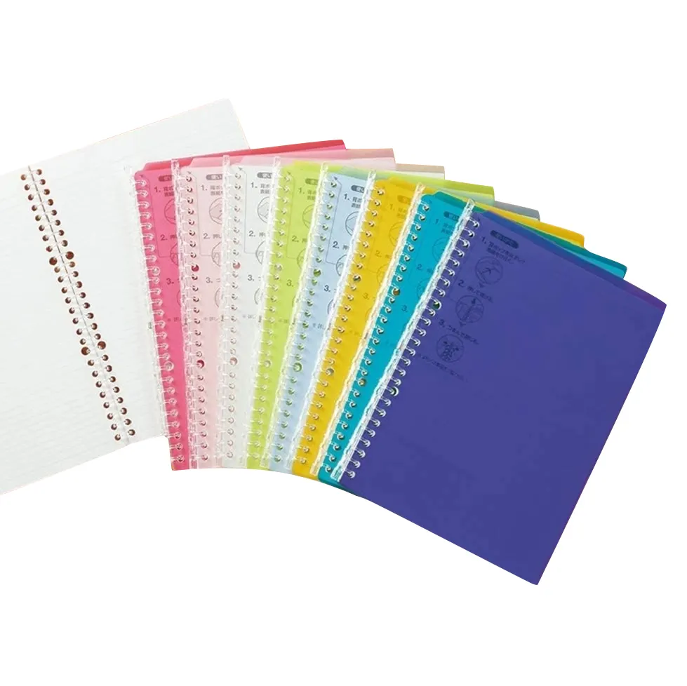 Großhandel Arbeit Studie Tagebuch Schreiben einfaches gefrostetes Pp wasserdichtes A5-Farben-Loose-Leaf-Notebook Guangdong