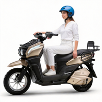 Advanced Electric Scooter Tourer Powerful Efficient Robust Heavy Strong Electric Bicycle