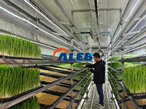 Ligne de production de germination facile à utiliser, bac de germination de céréales, grande capacité, machine à fourrage hydroponique - Product Image 4