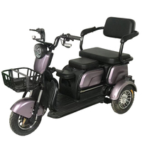 2025 nouveau Design vente chaude passager à deux rangées écologique adulte électrique planche à roulettes Tricycle électrique ménage petit Scooter