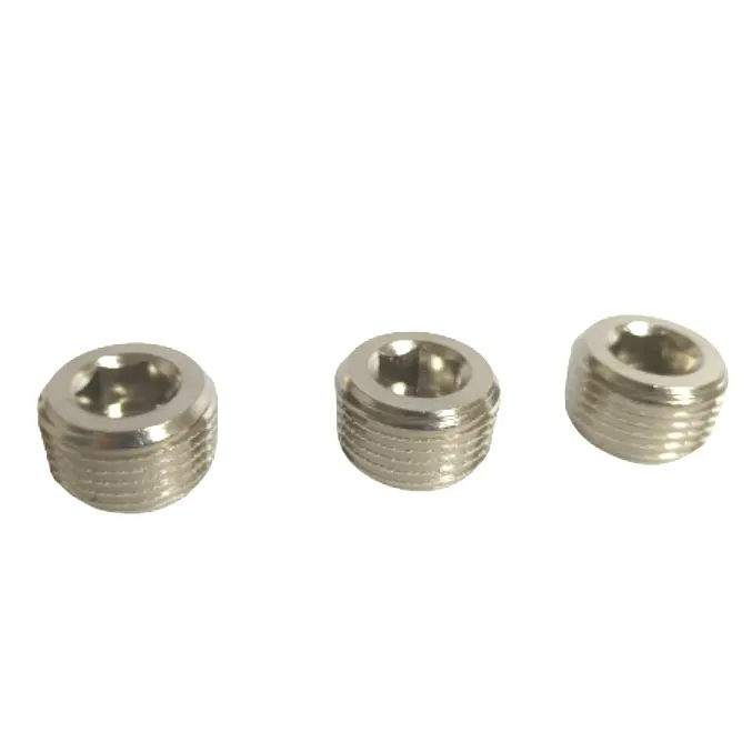 Reasonable Price of Screw Plug Pipe Thread Hexagon Socket Throat Plug