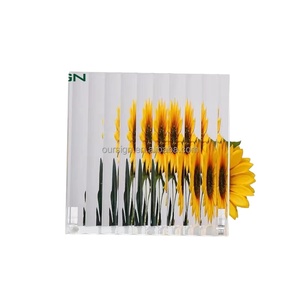 Hoja de acrílico fundido 1*2 m 3-30mm - Product Image 5