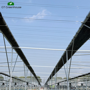 Serra ombreggiante con telaio in acciaio zincato a caldo GT <span class=keywords><strong>per</strong></span> coltivazioni agricole - Product Image 5