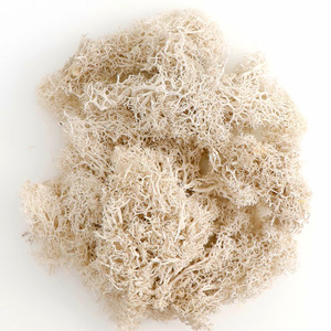 <span class=keywords><strong>Sueño</strong></span> suave Venta caliente real natural suave seca flor conservada musgo Reno musgo para la decoración del hogar - Product Image 6