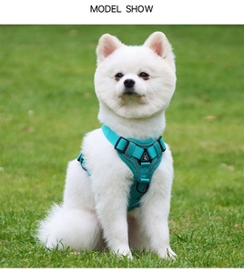 Hochleistungs-Anpassung <span class=keywords><strong>Nylon</strong></span> Haustier Geschirr Leinen-Set Designer einstellbar 2 in 1 einziehbare Hundebinde Leine - Product Image 3