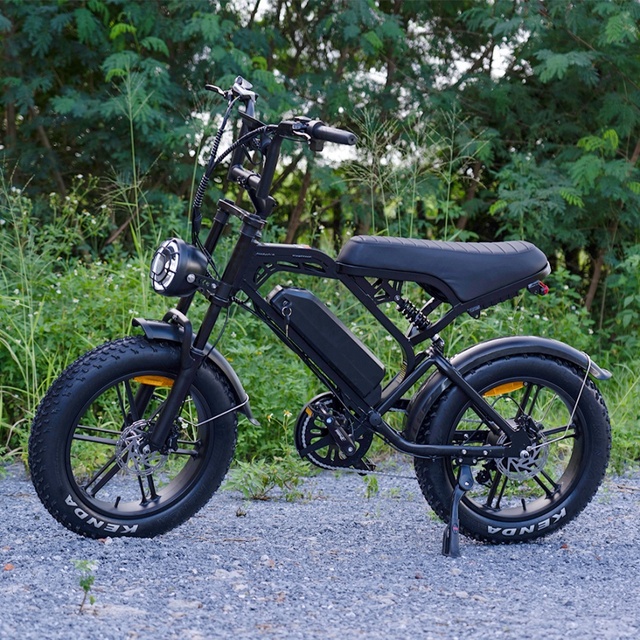 2024 Hot Sale Bike Electric 250W 750W 1000W Bikes 25km/h Bicycle Ebike Electric Bike