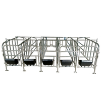 Jaulas de Gestación para Cerdas de Alta Calidad con Galvanizado en Caliente, Corrales de Gestación para Cerdas, Jaulas de Gestación sin Piso