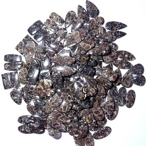 Premium Quality Turritella Agate Pair Smooth Cabochon Stones for Handmade Jewelry and Artisan Creations Available for Sale - Product Image 6