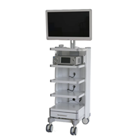 Système médical de caméra endoscopique pour tour de laparoscopie électrique 4K, Classe II-GTK TK4K-CS01, grand format, emballé en bois, avec garantie d'un an