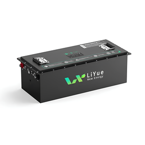 Baterai LiFePo4, baterai listrik 24v 36V 48v 60v 72v 96v 100AH 150Ah 200ah 300Ah untuk mobil perahu RV - Product Image 2