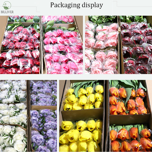 Fleurs artificielles <span class=keywords><strong>d</strong></span>'orchidée blanche naturelle avec papillon papillon en latex au toucher réel à longue tige pour l'obtention du diplôme et les <span class=keywords><strong>d</strong></span>écorations de la fête des mères - Product Image 6