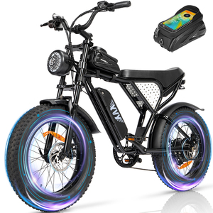 Q20Mini Bici Elettrica Fatbike EBike Fast Fat Tire Dirt Mountain Bike E- Manufacturer Q20 Eu US Warehouse Commute - Product Image 1