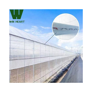 <span class=keywords><strong>Serres</strong></span> tunnels traitées aux UV, structures de <span class=keywords><strong>serres</strong></span> commerciales, <span class=keywords><strong>serres</strong></span> pour la culture biologique de <span class=keywords><strong>tomates</strong></span>, <span class=keywords><strong>serres</strong></span> en Chine - Product Image 4