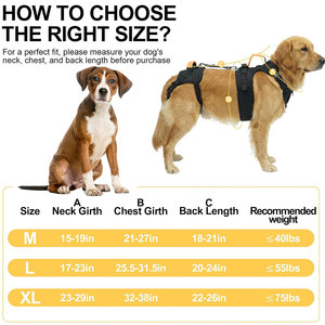 <b>Pet</b> Dog <b>Harness</b> with Handle for Medium Large Senior Dogs Arthritis Injuries Walking Support Helper Adjustable <b>Pet</b> Lift <b>Harness</b> - Product Image 5