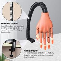 Véritable Main Humaine Structure Nail Pratique Doigt Joint Simulation Libre Plié Artificielle Main Modèle Nail Fournitures Produit