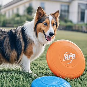 Tùy chỉnh sản phẩm nhựa bộ phận cắn kháng & độ đàn hồi cao linh hoạt TPR Pet đào tạo Frisbee - Product Image 6