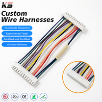 Konektor Kabel Kawat Custom JST XH2.5 12Pin Pitch 2.5mm, Kabel Pengisi Daya Baterai XH Plug Male Female, Kabel Harness 26AWG