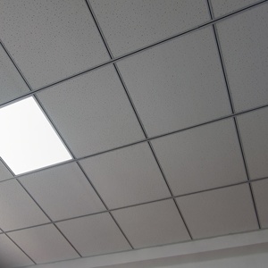 Série PY-MERCOSUR CE : Grille de plafond et profilés métalliques pour structures de plafond polyvalentes au Paraguay - Product Image 4